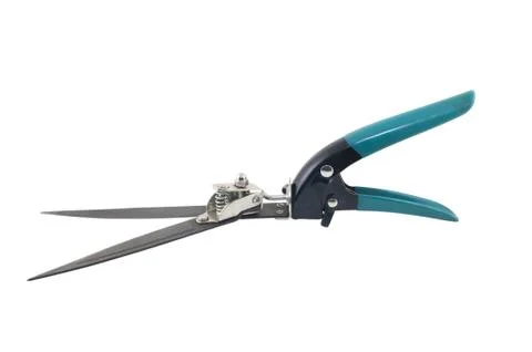 Shears for cutting grass Fotos de archivo