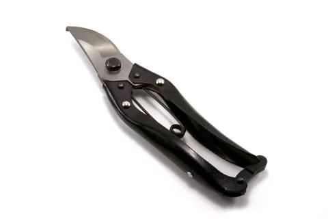 Shears Stock Photos
