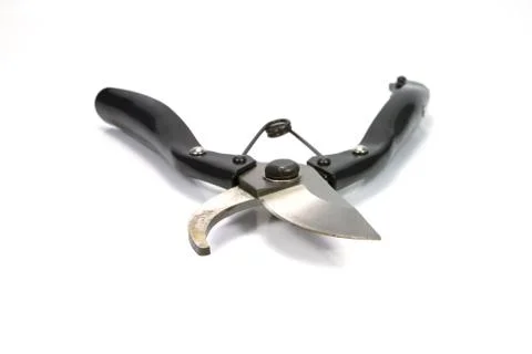 Shears Stock Photos