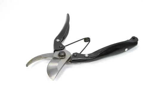 Shears Foto stock