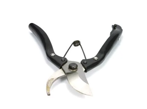 Shears Foto stock