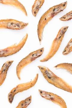 Sheatfish fried Stock Photos