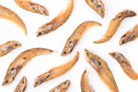 Sheatfish fried Stock Photos