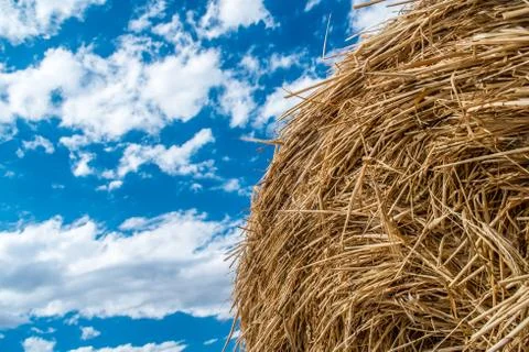 Sheaves of straw Foto stock