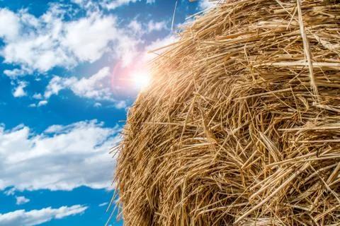Sheaves of straw Stock Photos