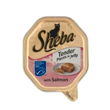 Sheba Stock Photos