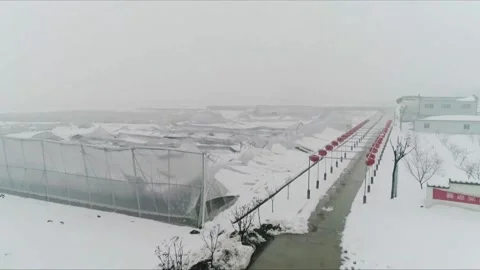 Shed collapsed by heavy snow Stock Footage 235110985