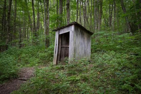 Shed in forest Fotos de archivo