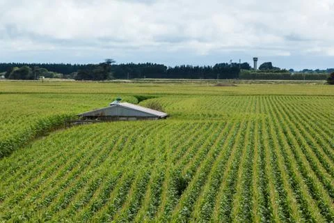 Shed maze Foto stock