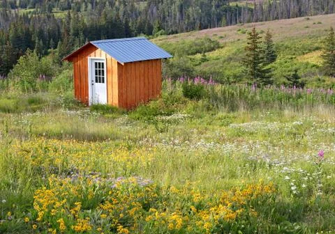 Shed in a meadow Foto stock