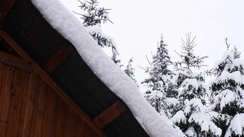 Shed In The Mountain With Fir Trees Next To It While Snowing Stock-Footage 85077634