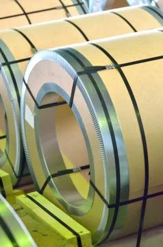 Sheel rolls Stock Photos