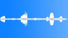 Sheep and bells Sound Effect