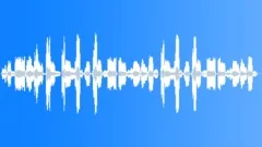Sheep And Lambs Bleating Sound Effect