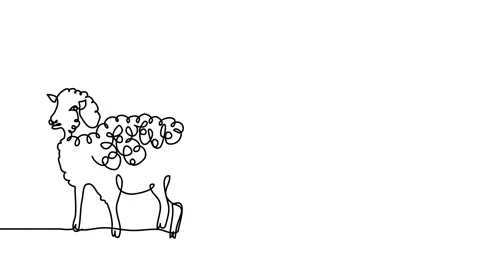 Sheep and wool, yarn, ram ball. Single line animated illustration. One Stock Footage 302573572