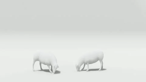 Sheep animals green screen video Stock Footage 300410322