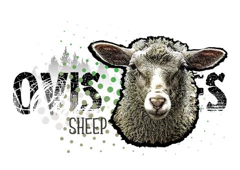 Sheep banner vector Illustration Stock Illustration