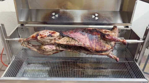 Sheep on BBQ1 Stock Footage 329411297