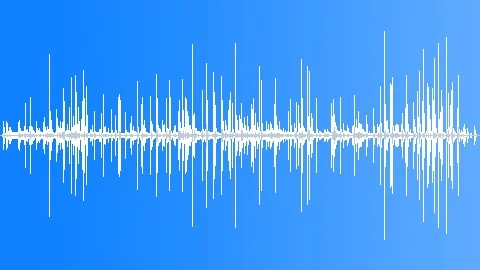 SHEEP BELLS PASTURE Sound Effect