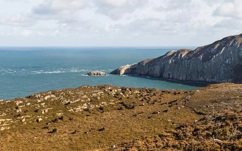 Sheep between North Stack and South Stack Stock Photos