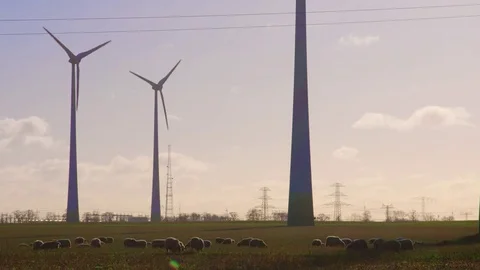 Sheep at the Bottom of a Wind Turbines Landscape Stock-Footage 73487015