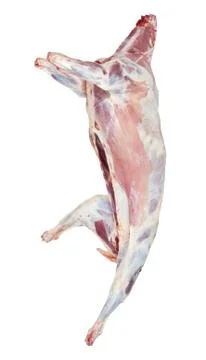 Sheep carcass Stock Photos