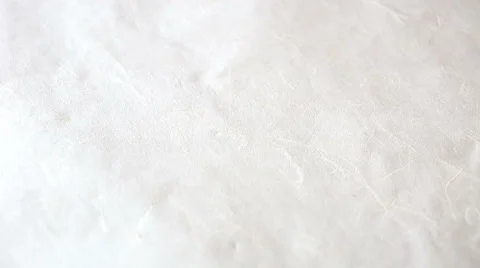 "sheep" in Chinese calligraphy Stock Footage 45291095