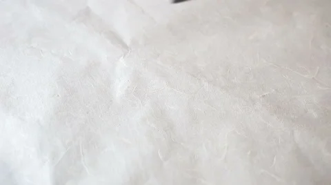 "sheep" in Chinese calligraphy Stock Footage 45295526