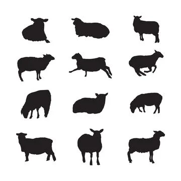 Sheep collection Ilustración de archivo