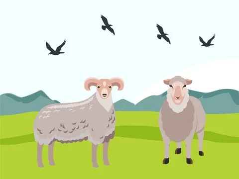 Sheep Concept Illustration Stock Illustration