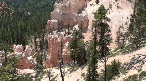 Sheep Creek 5 Stock Footage 676759