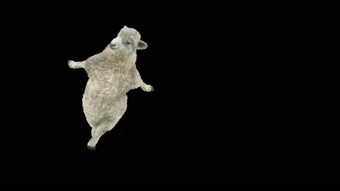 Sheep Dancing, with Alpha matte. 库存影片 194011468