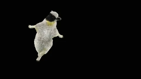 Sheep Dancing, with Alpha matte. 库存影片 194011482