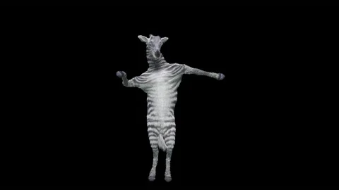 Sheep Dancing, with Alpha matte. Video stock 198033490
