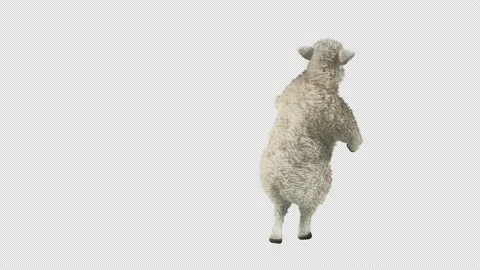 Sheep Dancing, with Alpha matte. 動画素材 201018448