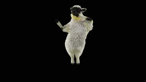 Sheep Dancing, with Alpha matte. Stockbeeldmateriaal 201018606
