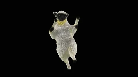 Sheep Dancing, with Alpha matte. Видео 202649159