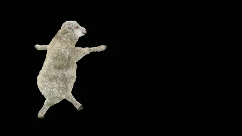 Sheep Dancing, with Alpha matte. 库存影片 205900800
