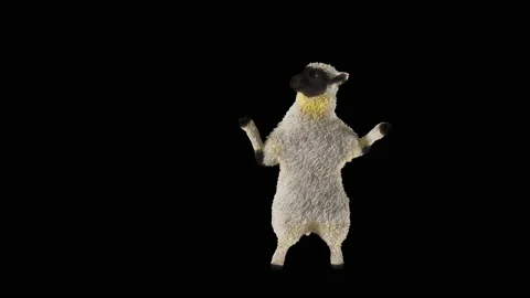 Sheep Dancing, with Alpha matte. 動画素材 208947240