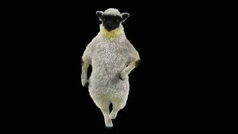 Sheep Dancing, with Alpha matte. Видео 213618678
