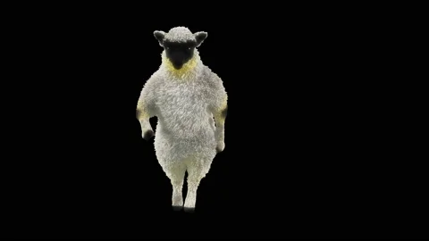 Sheep Dancing, with Alpha matte. 库存影片 213619555