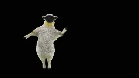 Sheep Dancing, with Alpha matte. 库存影片 218306063