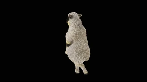 Sheep Dancing, with Alpha matte. 库存影片 219565823