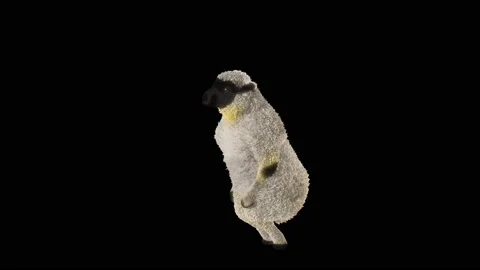 Sheep Dancing, with Alpha matte. Видео 219566317