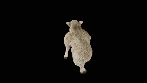 Sheep Dancing, with Alpha matte. 動画素材 219737418