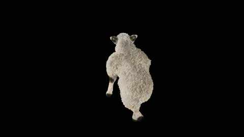 Sheep Dancing, with Alpha matte. Stockbeeldmateriaal 219737421