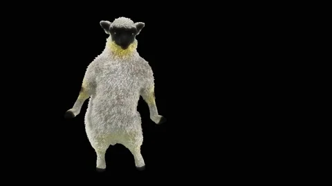 Sheep Dancing, with Alpha matte. 库存影片 221261471