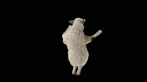 Sheep Dancing, with Alpha matte. 库存影片 221262071