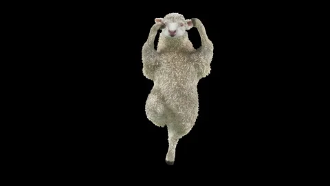 Sheep Dancing, with Alpha matte. 库存影片 243994517