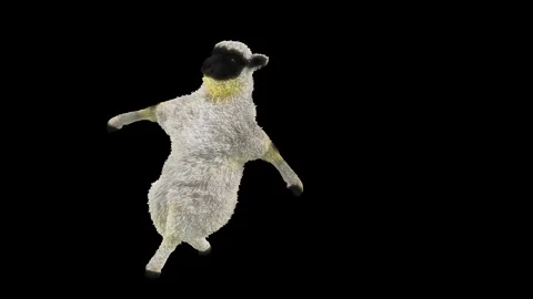 Sheep Dancing, with Alpha matte. Stock Footage 269961248